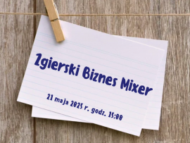 Zgierski Biznes Mixer